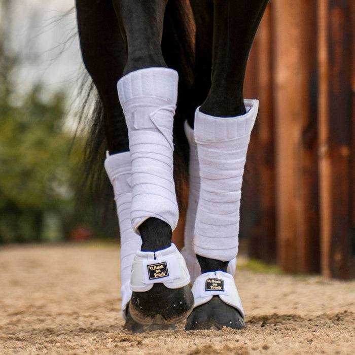 Back on Tack Bell Boots Performance
