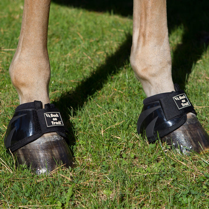 Back on Tack Bell Boots Performance