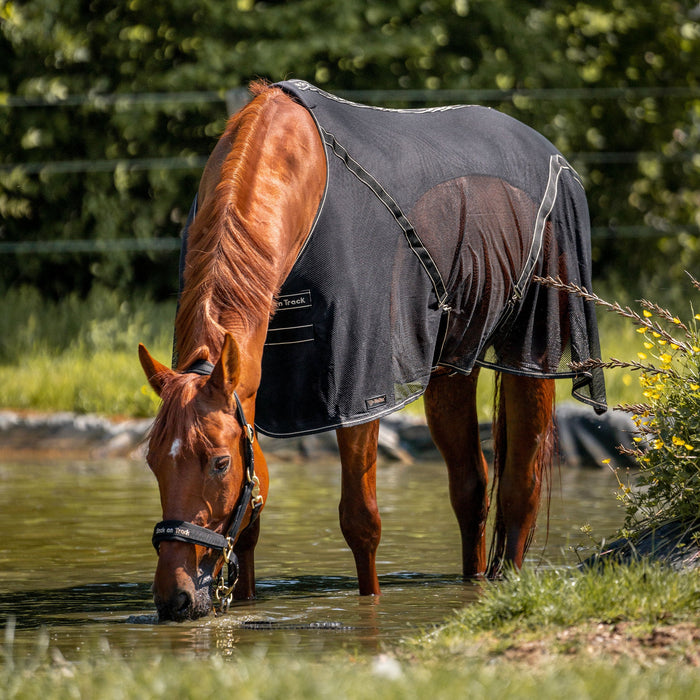 Back on Tack "Sienna" Svettäcke