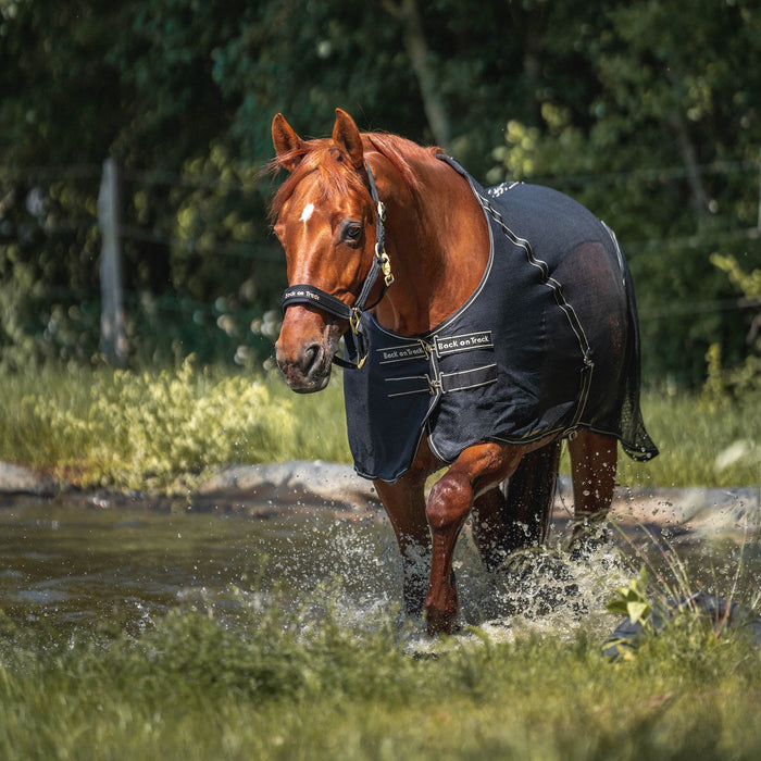 Back on Tack "Sienna" Svettäcke