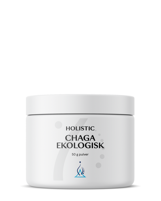 Holistic Chaga ekologisk 50 g
