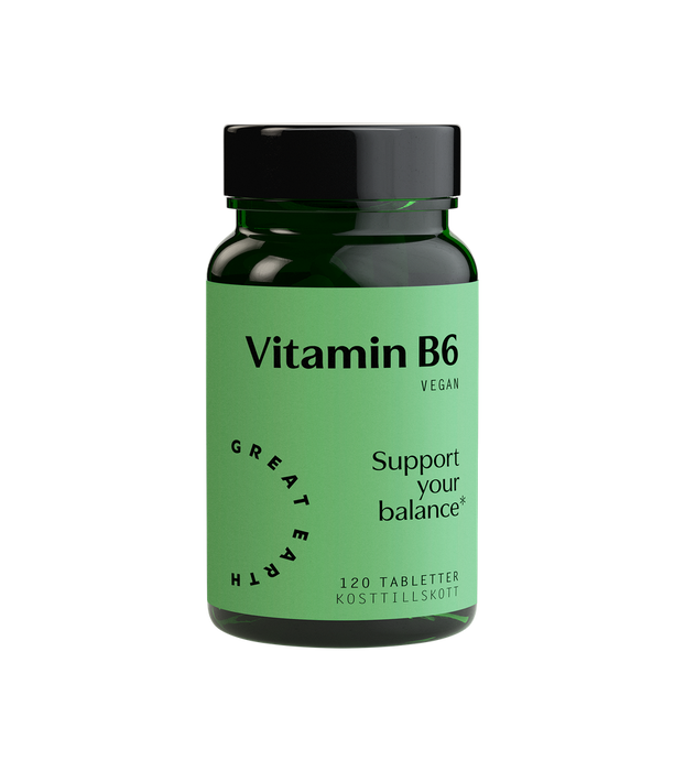 Great Earth Vitamin B6 120 tabletter
