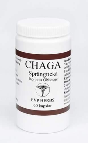 Egenvårdspoolen Chaga 60 kapslar
