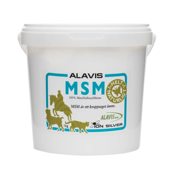 Ion silver MSM Alavis