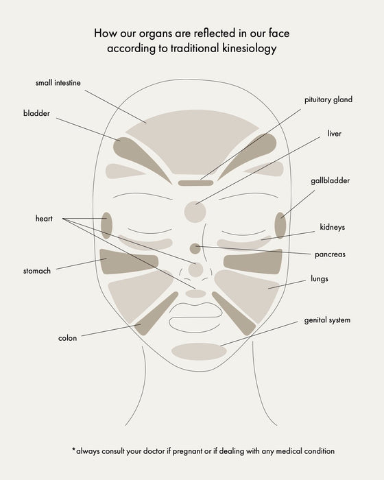 Womensync Massage Pen & Gua Sha Paketpris