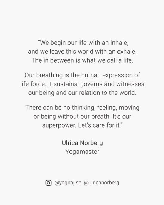 Yogiraj Meditationskudde Infinity, Misty greige - Ulrica Norberg x Yogiraj