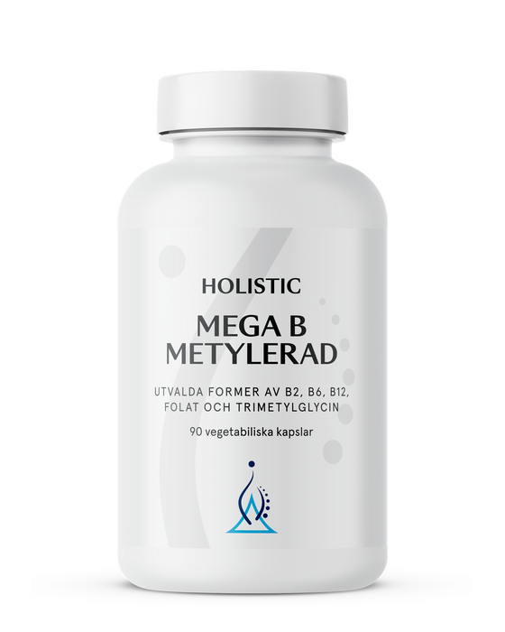 Holistic Mega B metylerad 90 kapslar