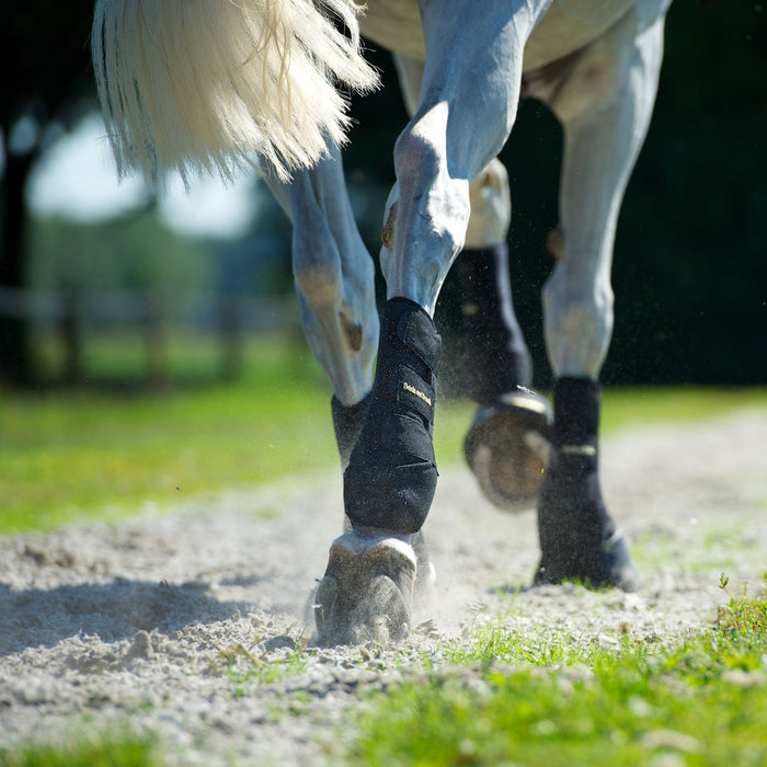 Back on Tack Arbetsdamasker bak