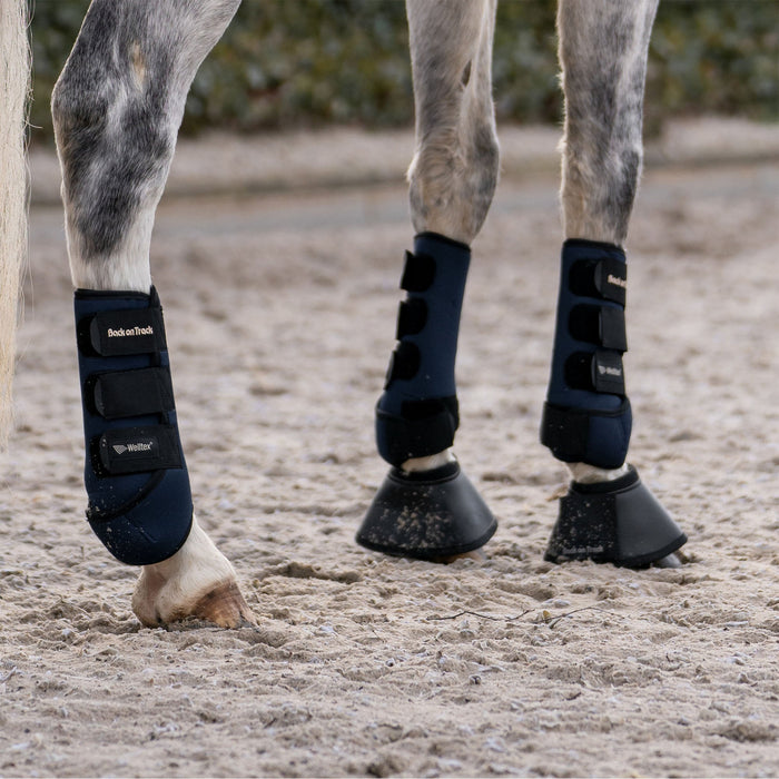 Back on Tack Opal Arbetsdamasker, Fram