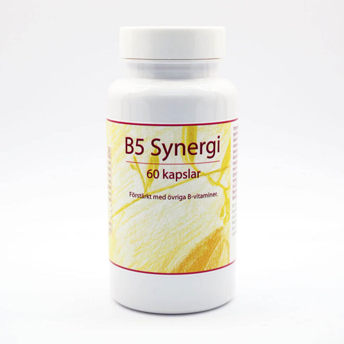 Derivata medicus B5 Synergi 60 kapslar