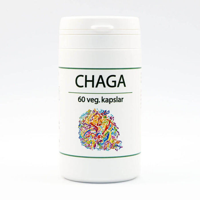 Derivata medicus Chaga 60 kapslar