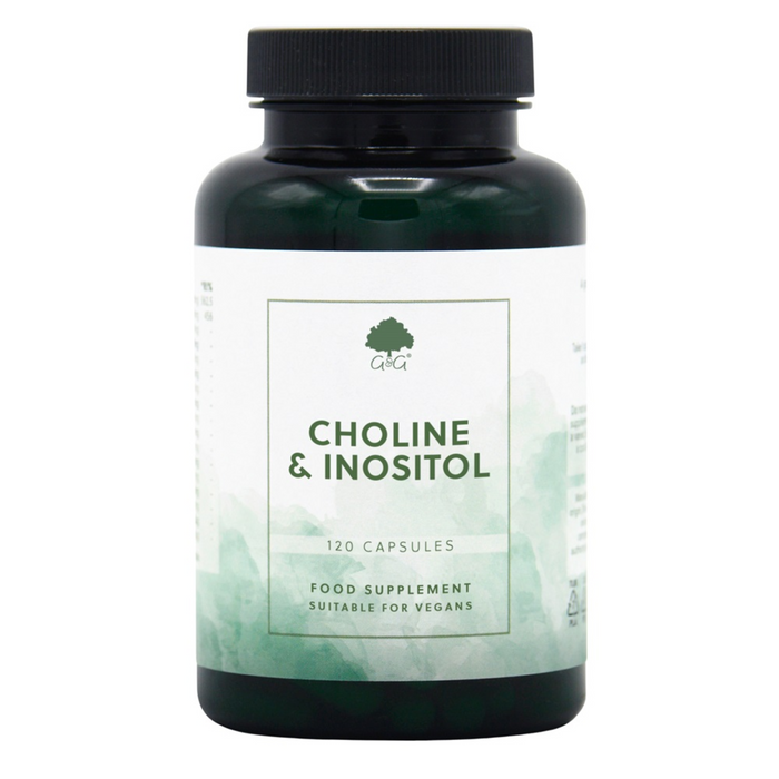 G&G Vitamins Choline 250mg & Inositol 250 mg 120 kapslar