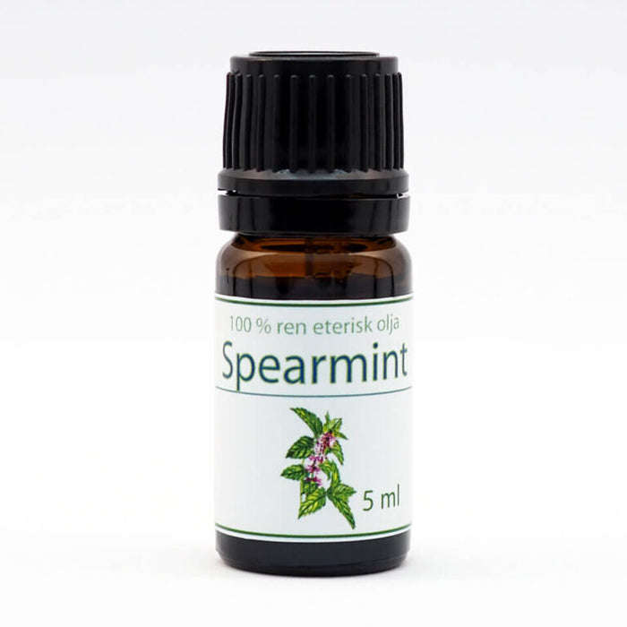 Derivata medicus Spearmint 5 ml